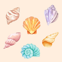 Watercolor shell Illustration set of Cute Sea Animals collection