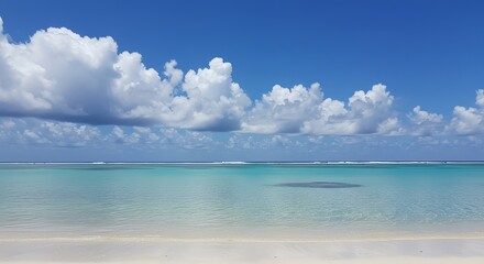Tropical Beach with Clear Water and Blue Sky