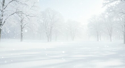 Fototapeta premium Snowy Winter Landscape with Frost Covered Trees