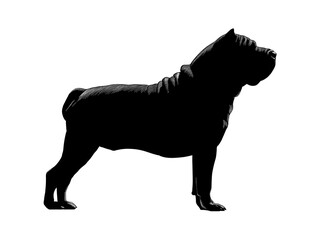 Obraz premium A majestic black dog stands proudly in profile, a powerful silhouette against a stark white background, showcasing its muscular build and noble