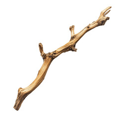 Obraz premium A beautifully textured, natural wooden branch lying on a white background, showcasing intricate patterns and colors, ideal for artistic decoration or design projects