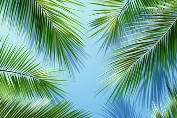 Palm leaves against a sky