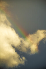Vibrant rainbow filling the warm afternoon sky.