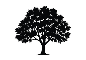 Fig tree silhouette. This image shows a black silhouette of a fig tree with detailed branches and foliage, also known as a ficus tree or fig plant. Vector clipart illustration design.