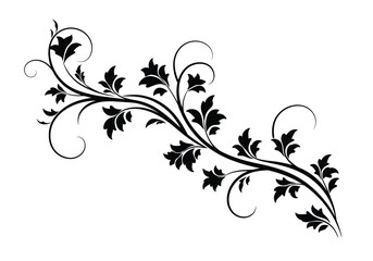 Floral vine silhouette. This image shows a black and white floral vine silhouette with elegant swirls and leaves, also known as a botanical flourish or arabesque. Vector clipart illustration design.