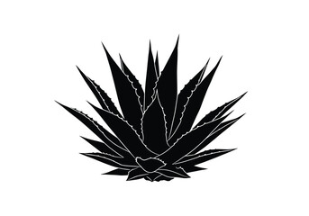 Fototapeta premium Agave plant silhouette. This image shows a black and white clipart of an Agave plant with sharp, spiky leaves. Vector clipart illustration design.