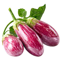 Striped purple eggplants with green stems fresh vegetable cooking ingredient PNG On Transparent Background