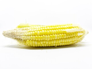 Fresh Corn on White Background for Natural Food and Agriculture Theme