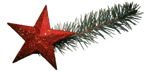 Isolated Illustration Of Red Star And Green Branch With Glitter On Black Background