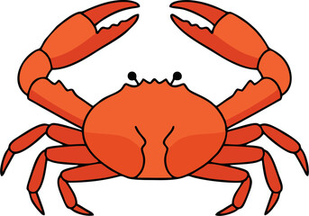 Top View King Crab Vector with Sharp Legs and Symmetrical Shell Design