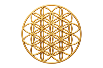 Golden Flower of Life Symbol on white Background Detailed Geometric Pattern transparent background