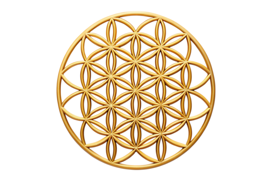 Golden Flower of Life Symbol on white Background Detailed Geometric Pattern transparent background
