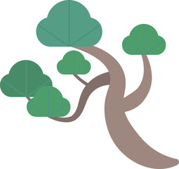 Traditions Pine trees