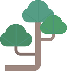 Traditions Pine trees