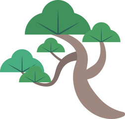 Traditions Pine trees