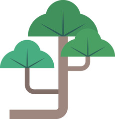 Traditions Pine trees