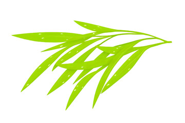 Fototapeta premium Isolated PNG Illustration of Green Leaves on Black Background