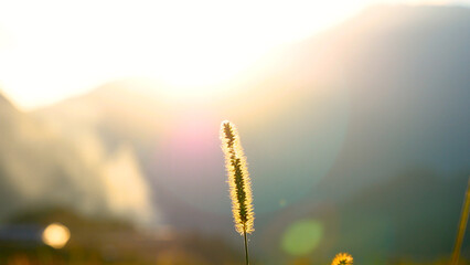 Colorful Backdrop display with twinkling nightlife shape blinking light. Bokeh abstract blurred background music festival stage show performance party. Vibrant bokeh background sparks animate motion