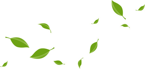 Flying Leaves Illustration
