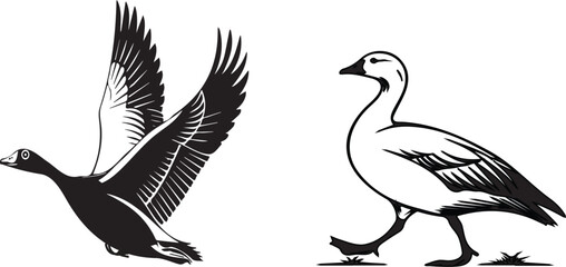 Snow goose silhouette vector design with white background .. © Thomas