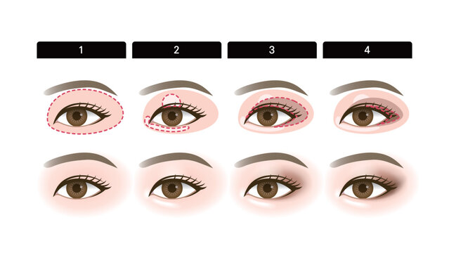 Eye shadow makeup manual_how to apply eye shadow