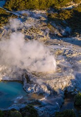 Aerial view of the Pohutu Geyser erupting at Te Puia, a geothermal park in Rotorua, New Zealand. Steam rises from the hot springs, attracting tourists.