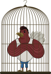 bird cartoon chicken illustration vector animal rooster turkey farm hen thanksgiving nature drawing art happy cage poultry character design funny fowl cute birds feather beak
