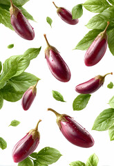 Eggplant in Isolated White