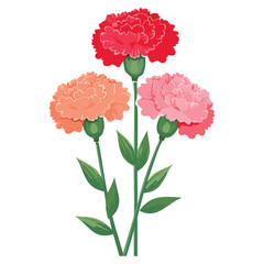 Delicate Carnation Flower Illustration &ndash; Botanical Art for Prints, Design & Decor