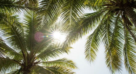 Palm trees viewed from below against bright blue sky with sun rays. Tropical summer perspective. Exotic vacation atmosphere. Travel destination. Resort paradise. Upward looking view. Horizontal banner