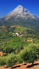 Obraz premium Mountain Aenos View in Kefalonia Island Greece with Olive Trees and Vineyards on a Sunny Day in Summer