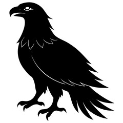 Obraz premium Silhouette of a Raven