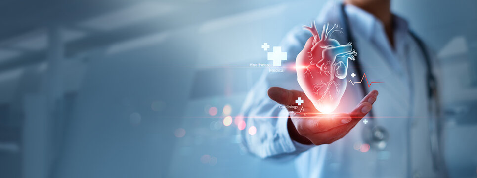 Heart disease and vascular disorder preventive concept. Cardiologist doctor hold colorful heart and examine patient heart functions. Medical technology and hospital care treatment.