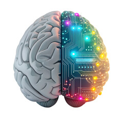 A human brain split into two halves, one representing organic anatomy and the other illuminated with neon AI circuitry, symbolizing the fusion of human intelligence artificial intelligence technology