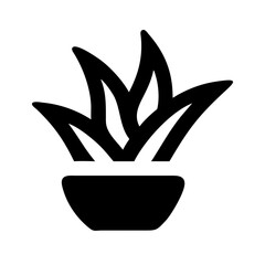 Aloe Vera Plant Icon Design