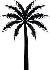  black and white silhouette of a palm tree