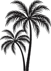 Fototapeta premium black and white silhouette of three palm trees