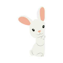 Cute White Bunny Cartoon Illustration