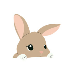 Cute Bunny Peeking Over Wall Cartoon