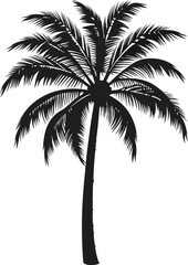  black and white silhouette of a palm tree