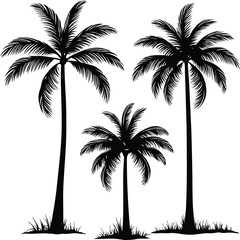  black and white silhouette of three palm trees
