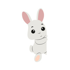 Cute White Bunny Peeking Corner