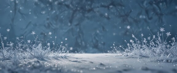Delicate snowflakes falling over a frosty blue scene ,  winter wonderland,  frost