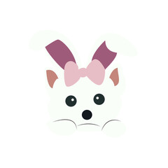 Cute Bunny Cat Illustration Design