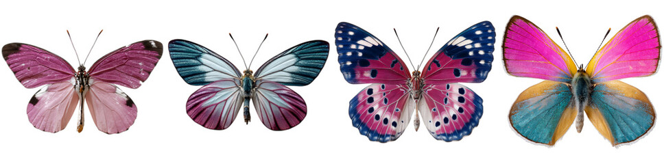 Four vibrant butterflies with unique patterns in shades of pink, blue, and purple stand out against a clear background, ideal for design projects