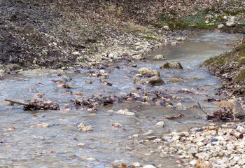 autumn, river, nature park , cloudy day, walk along the riverbed with an overview of the area