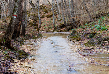 autumn, river, nature park , cloudy day, walk along the riverbed with an overview of the area