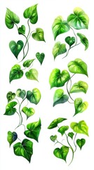 Fototapeta premium Watercolor Tropical Leaves Illustration on White Background for Nature Inspired Designs