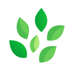 Green Leaf Shapes Nature Icon Design