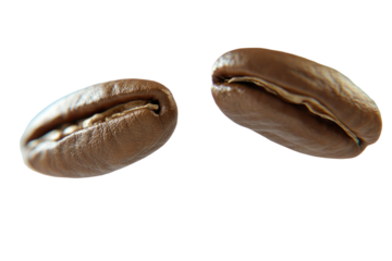 Close-up of two coffee beans